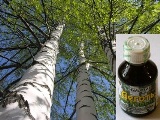 Деготь березовый